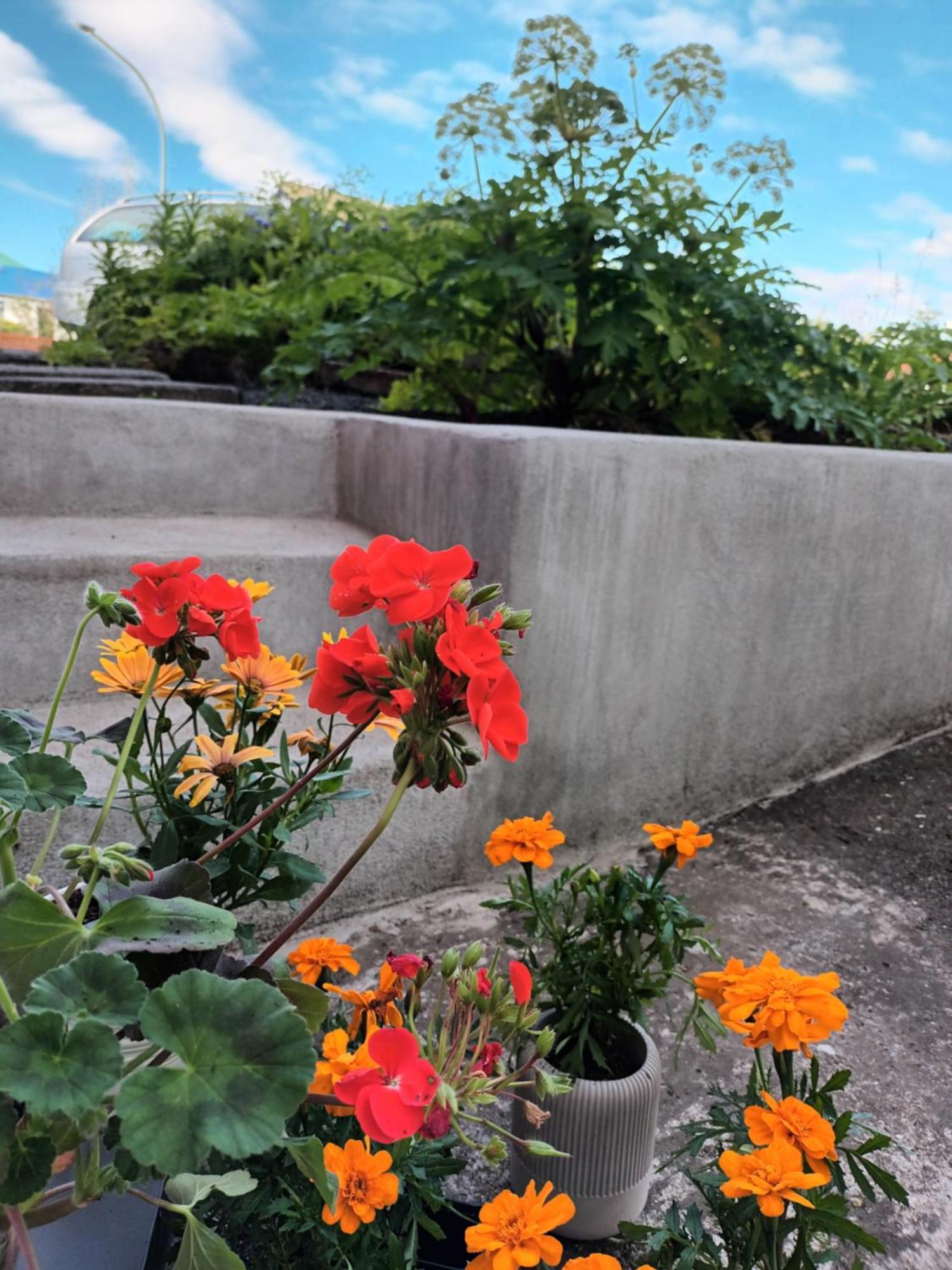 Lara Studio In Laugardalur Valley, Reykjavik Central Park And Botanical Garden, Private Entrance, Free Private Parking On Side מראה חיצוני תמונה