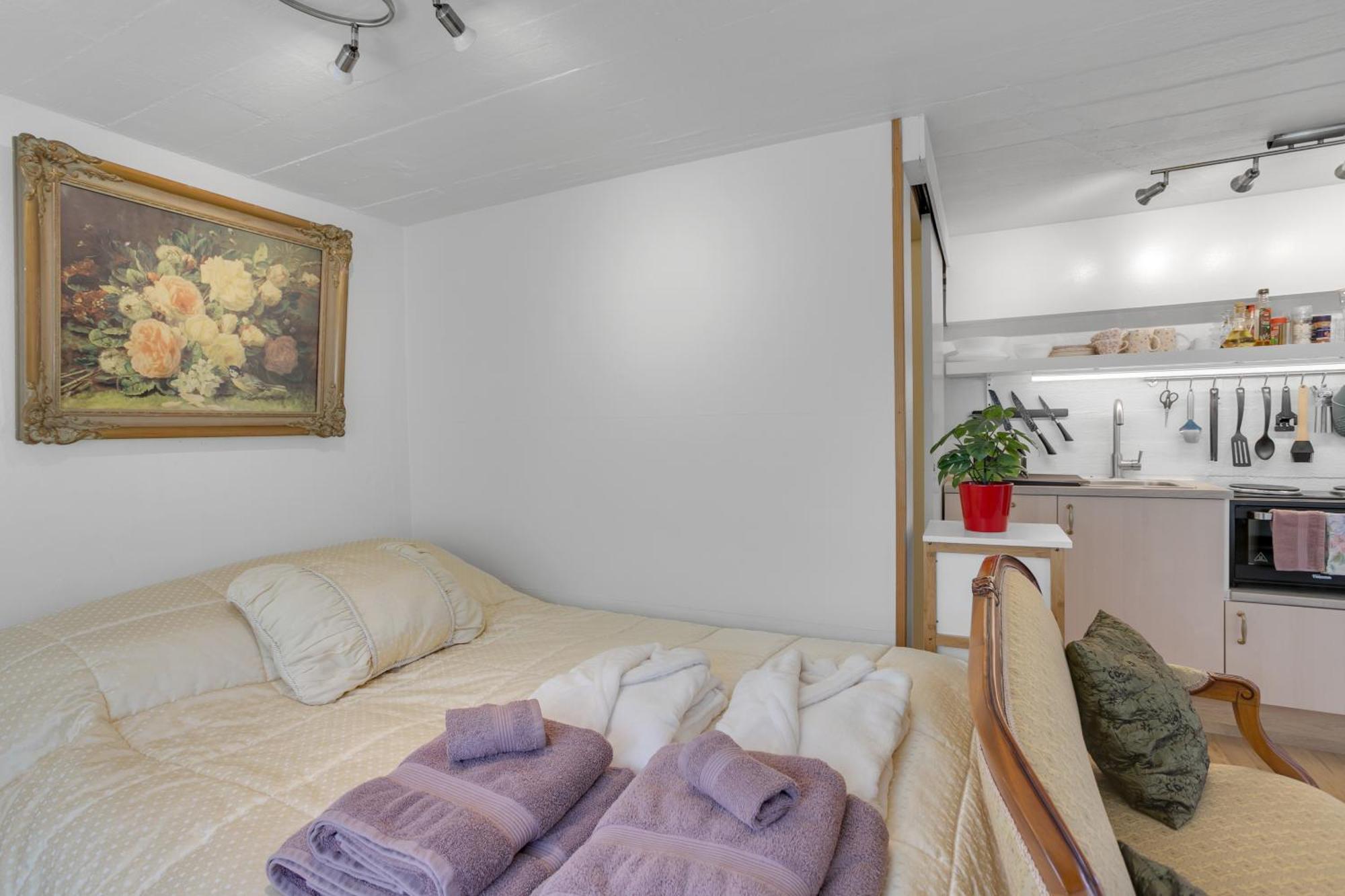 Lara Studio In Laugardalur Valley, Reykjavik Central Park And Botanical Garden, Private Entrance, Free Private Parking On Side מראה חיצוני תמונה